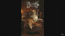 井上幸二ブリーダーからお迎えしたシェットランドシープドッグ：ななちゃん