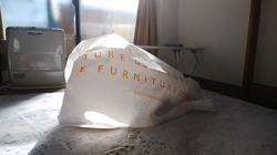 梶亜矢ブリーダーからお迎えしたノルウェージャンフォレストキャット：マロンくん