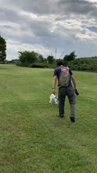 野村美智代ブリーダーからお迎えした柴犬：JJくん