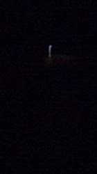 小野潤一郎ブリーダーからお迎えしたミニチュアダックスフンド(ロング)：Lukaくん