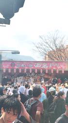 小野潤一郎ブリーダーからお迎えしたミニチュアダックスフンド(ロング)：Lukaくん