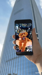 川上美津穂ブリーダーからお迎えしたミックス(チワワ×プードル)：りずむくん