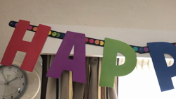 中野由利子ブリーダーからお迎えしたスコティッシュフォールド：モリー🐈ちゃん