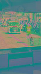 豊田恵美ブリーダーからお迎えしたトイプードル：琉那(るな）ちゃん