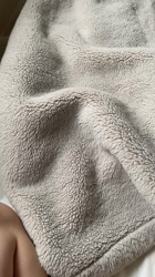 福元めぐみブリーダーからお迎えしたスコティッシュフォールド：まるおくん