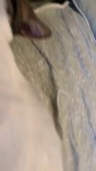 桜井大樹ブリーダーからお迎えしたマンチカン：れおくん