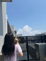 小池好美ブリーダーからお迎えしたブリティッシュショートヘア：さくらちゃん