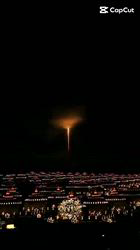 朝比奈杏奈ブリーダーからお迎えしたトイプードル：アポロンくん