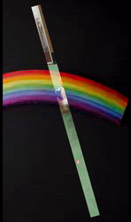 朝比奈杏奈ブリーダーからお迎えしたトイプードル：アポロンくん