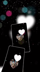 朝比奈杏奈ブリーダーからお迎えしたトイプードル：アポロンくん