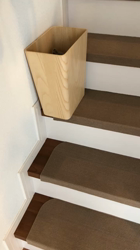 後藤嘉茂ブリーダーからお迎えしたエキゾチックショートヘア：ドンちゃん