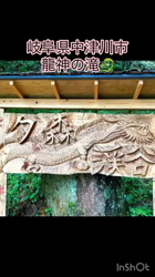 西川玉梅ブリーダーからお迎えしたマルチーズ：マル坊くん