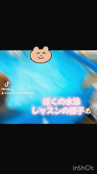 西川玉梅ブリーダーからお迎えしたマルチーズ：マル坊くん