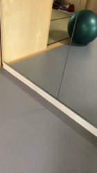 渡邉浩行ブリーダーからお迎えしたジャックラッセルテリア：Samくん