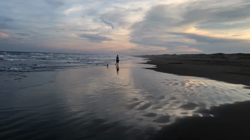 渡邉浩行ブリーダーからお迎えしたジャックラッセルテリア：Samくん