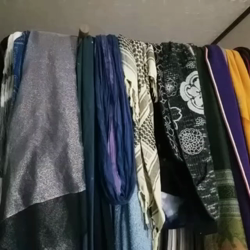 岩瀬典子ブリーダーからお迎えしたミヌエット：🔰わかば丸くん