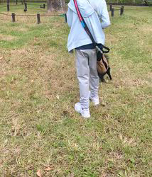 朝比奈杏奈ブリーダーからお迎えしたポメチワ(チワワ×ポメラニアン)：風太（ふうた）くん