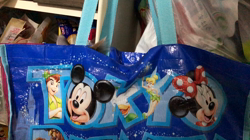 平櫻いづみブリーダーからお迎えしたノルウェージャンフォレストキャット：el (エル)ちゃん