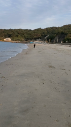 児嶋快治ブリーダーからお迎えしたウェルシュ・コーギー・ペンブローク：海　　かいくん