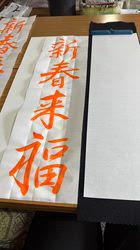 森和也ブリーダーからお迎えしたトイプードル：モカくん