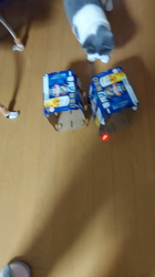 村井令枝ブリーダーからお迎えしたブリティッシュショートヘア：パールちゃん