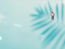 高野明子ブリーダーからお迎えしたミニチュアダックスフンド(ロング)：萌音ちゃん