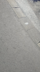 石橋敏弘ブリーダーからお迎えしたミニチュアダックスフンド(ロング)：むぎちゃん