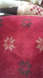 石橋敏弘ブリーダーからお迎えしたミニチュアダックスフンド(ロング)：むぎちゃん