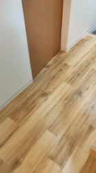 石橋敏弘ブリーダーからお迎えしたミニチュアダックスフンド(ロング)：むぎちゃん