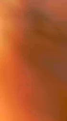 山品丈二ブリーダーからお迎えしたシェットランドシープドッグ：むぎ‪💙くん