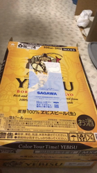 安田裕樹ブリーダーからお迎えしたノルウェージャンフォレストキャット：ヒメちゃん