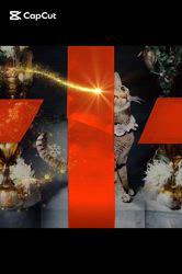 佐藤美代子ブリーダーからお迎えしたエジプシャンマウ：チコちゃん