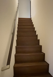 今松澄江ブリーダーからお迎えしたスコティッシュフォールド：おとめちゃん