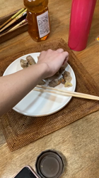 河内正克ブリーダーからお迎えしたシュナウザー&プードル：寧々ちゃん