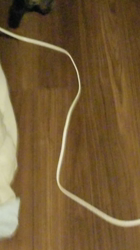 杉山壽ブリーダーからお迎えしたミヌエット：零くん