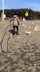 渡邉昌次ブリーダーからお迎えした柴犬：楽助くん