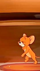 北浦浩ブリーダーからお迎えしたマルプー(マルチーズ×トイプードル)：うみちゃん