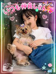 野上百合ブリーダーからお迎えしたヨークシャーテリア：リリーちゃん