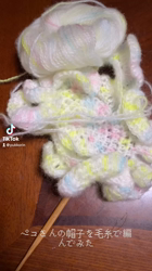 渡辺恭子ブリーダーからお迎えしたエキゾチックショートヘア：PECOちゃん