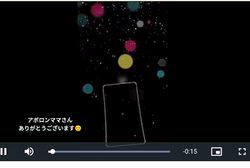 平ほの花ブリーダーからお迎えしたヨークシャーテリア：蓮くん