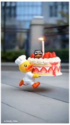 鮓谷明弘ブリーダーからお迎えしたロシアンブルー：愛瑠(アイル)ちゃん