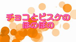 飯尾智江美ブリーダーからお迎えしたチワワ(ロング)：ビスケちゃん