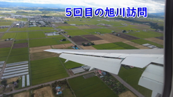 飯尾智江美ブリーダーからお迎えしたチワワ(ロング)：チョコちゃん