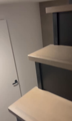 川島友子ブリーダーからお迎えしたチワワ(ロング)：まごいちくん