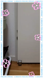 大原睦ブリーダーからお迎えしたサイベリアン:るうくくん