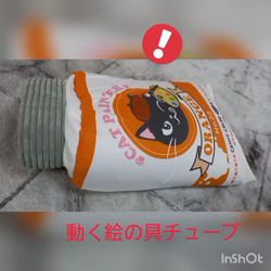 鮓谷明弘ブリーダーからお迎えしたロシアンブルー：Ｒoi(ロワ)くん