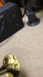 亀鶴佐知子ブリーダーからお迎えしたペキニーズ：カブくん