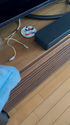 山本恵美ブリーダーからお迎えしたミニチュアダックスフンド(ロング)：むぎ太くん