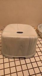 杉野洋子ブリーダーからお迎えしたアメリカンショートヘア：レオくん