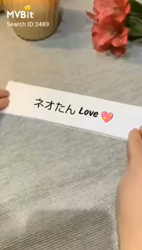五木田利奈ブリーダーからお迎えしたスコティッシュフォールド：ネオくん
